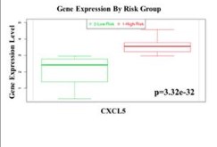 Comparison of CXCL5 expression between patients.jpg